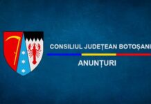 Concurs de soluții pentru realizarea semnalelor de delimitare a județului Botoșani
