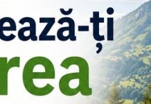 Tot mai mulți turiști își aleg cazarea online. Vizibilitatea digitală devine esențială pentru unitățile de cazare din România