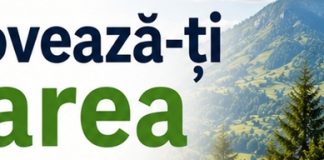 Tot mai mulți turiști își aleg cazarea online. Vizibilitatea digitală devine esențială pentru unitățile de cazare din România