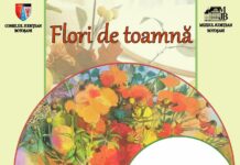 Atelier creativ pentru iubitorii de natură