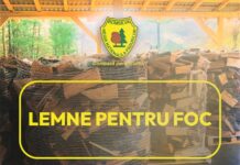 Romsilva vinde lemne pentru foc la prețuri de anul trecut