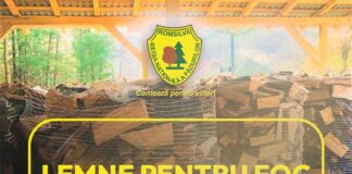 Romsilva vinde lemne pentru foc la prețuri de anul trecut